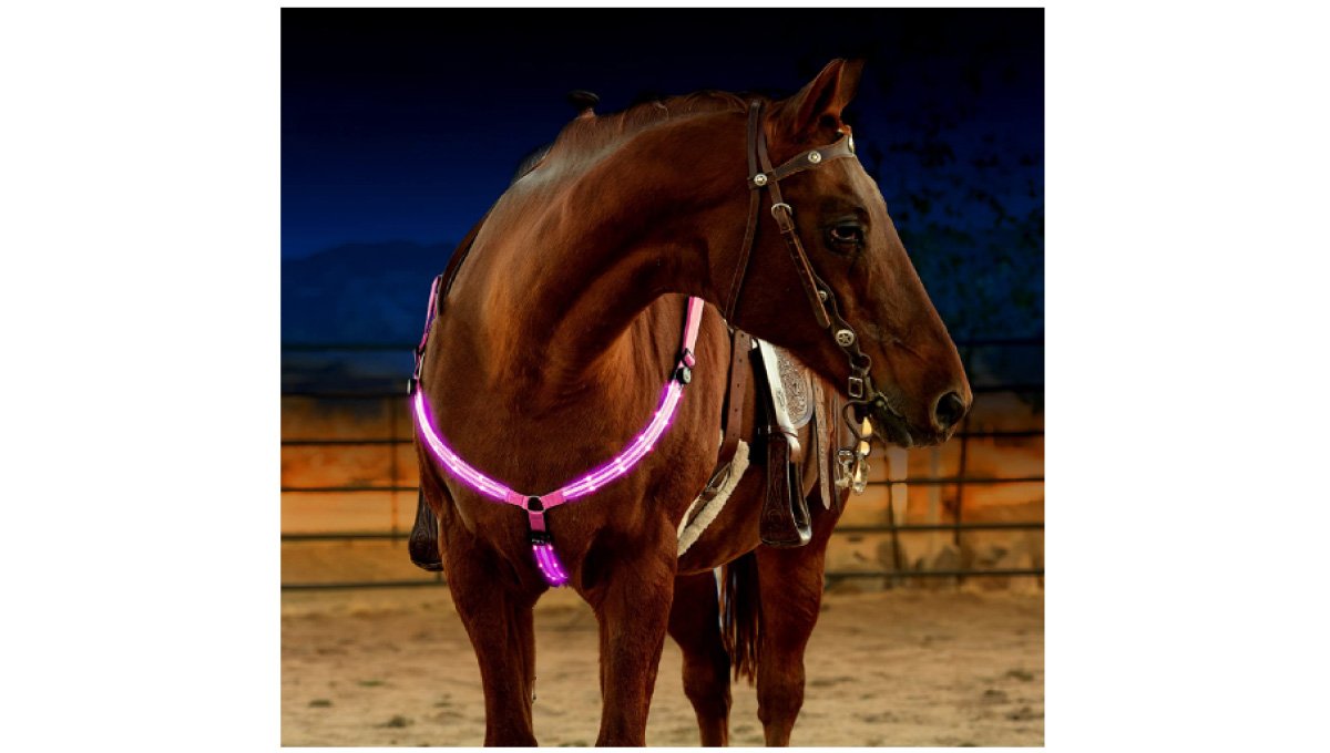 LED-Horse-Breastplate-Collar