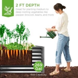 Best Products raised garden