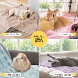 Blanket for Dogs and Cats