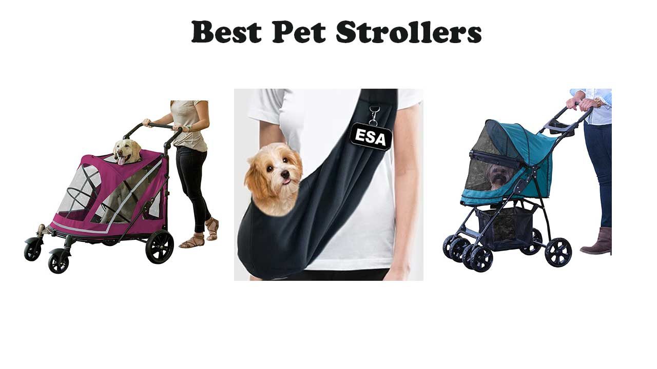 The 5 pet strollers for dogs Review