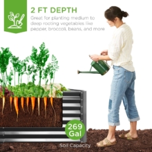 Best Choice Raised Garden Bed