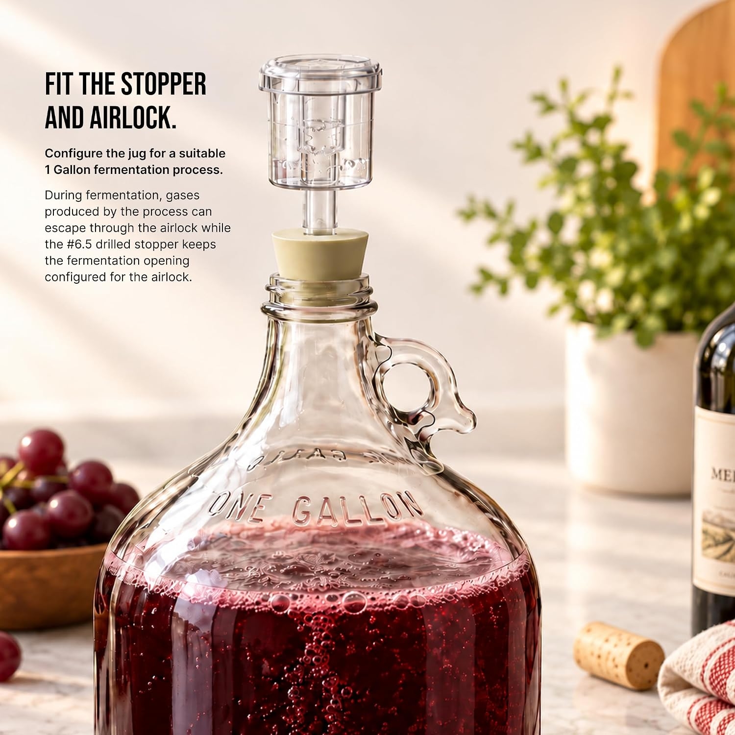 North Mountain Supply Gallon Glass Fermenting Jug
